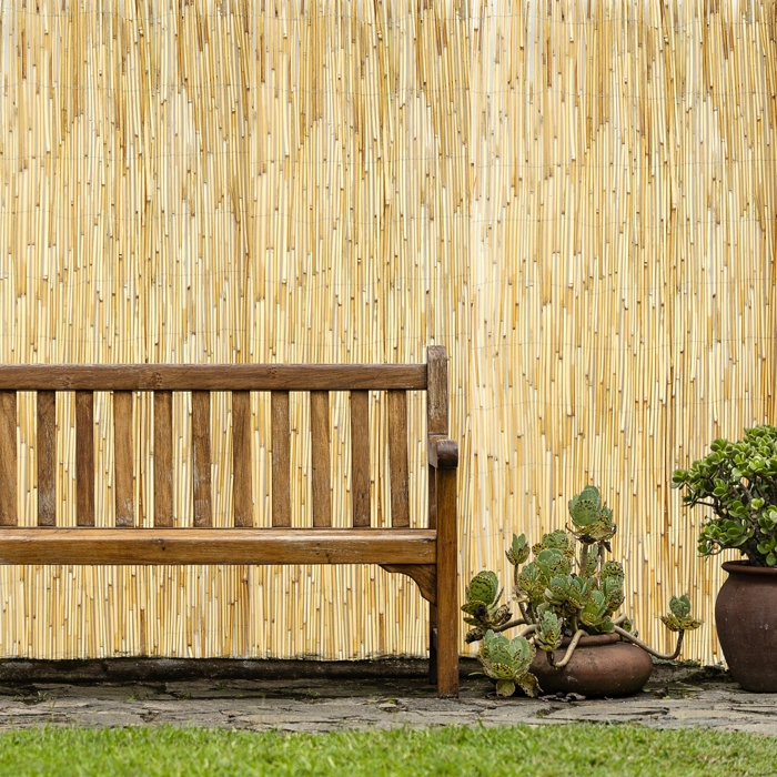 Backyard XScapes 6 ft. H x 16 ft. W Reed Privacy Screen & Reviews